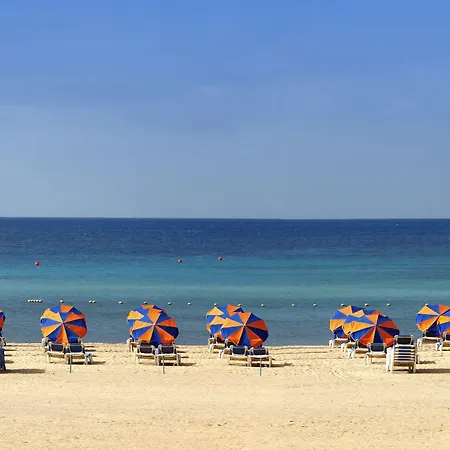 Barcelo Fuerteventura Royal Level (adults Only) 4* 科斯塔卡莱塔