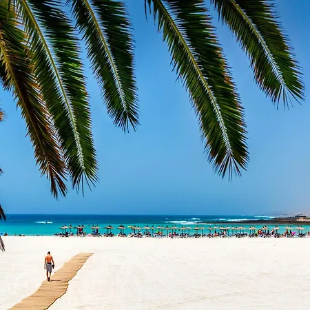 Barcelo Fuerteventura Royal Level (adults Only) 酒店 科斯塔卡莱塔